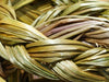 Sweetgrass