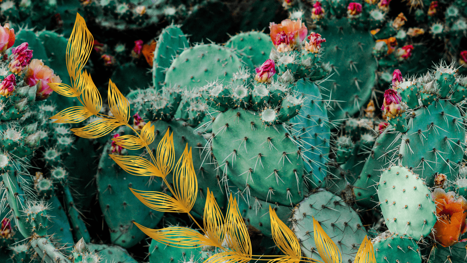 Will there be enough clients + income to support my Doula (or other Holistic Care) practice?