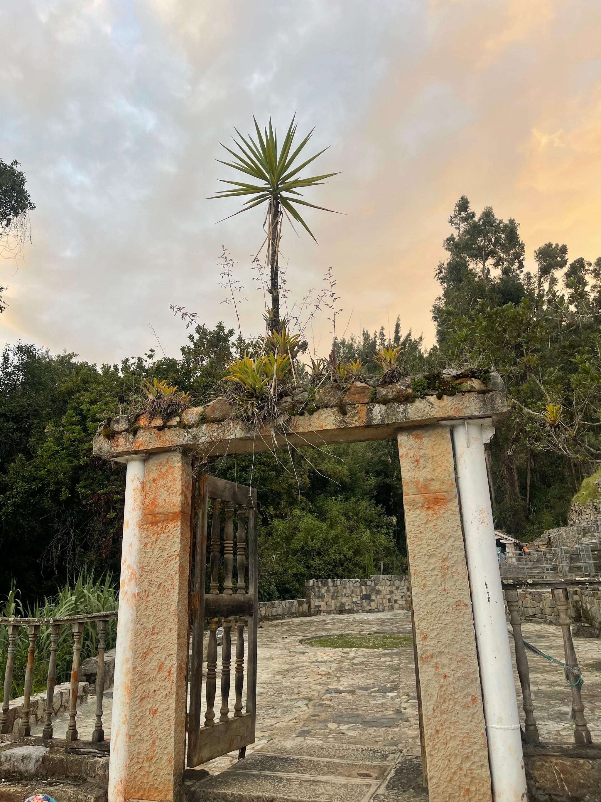 FAQs - OIS Skills Immersion Retreats with Earth 🌍