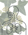 Singing Your Medicine, 🌿 Herbal Respiratory Support