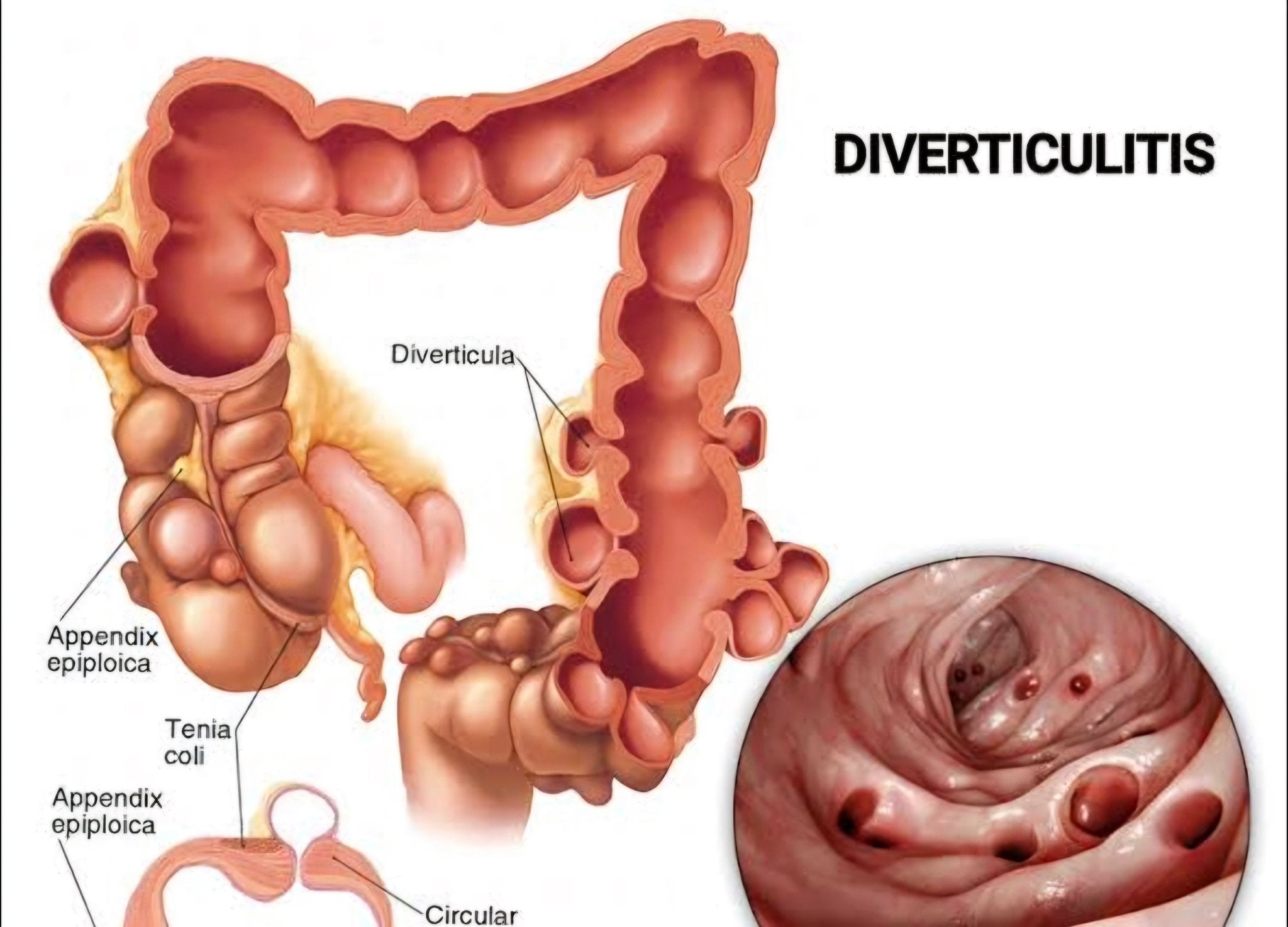 All Spokes of the Medicine Wheel (All systems of medical care working together)