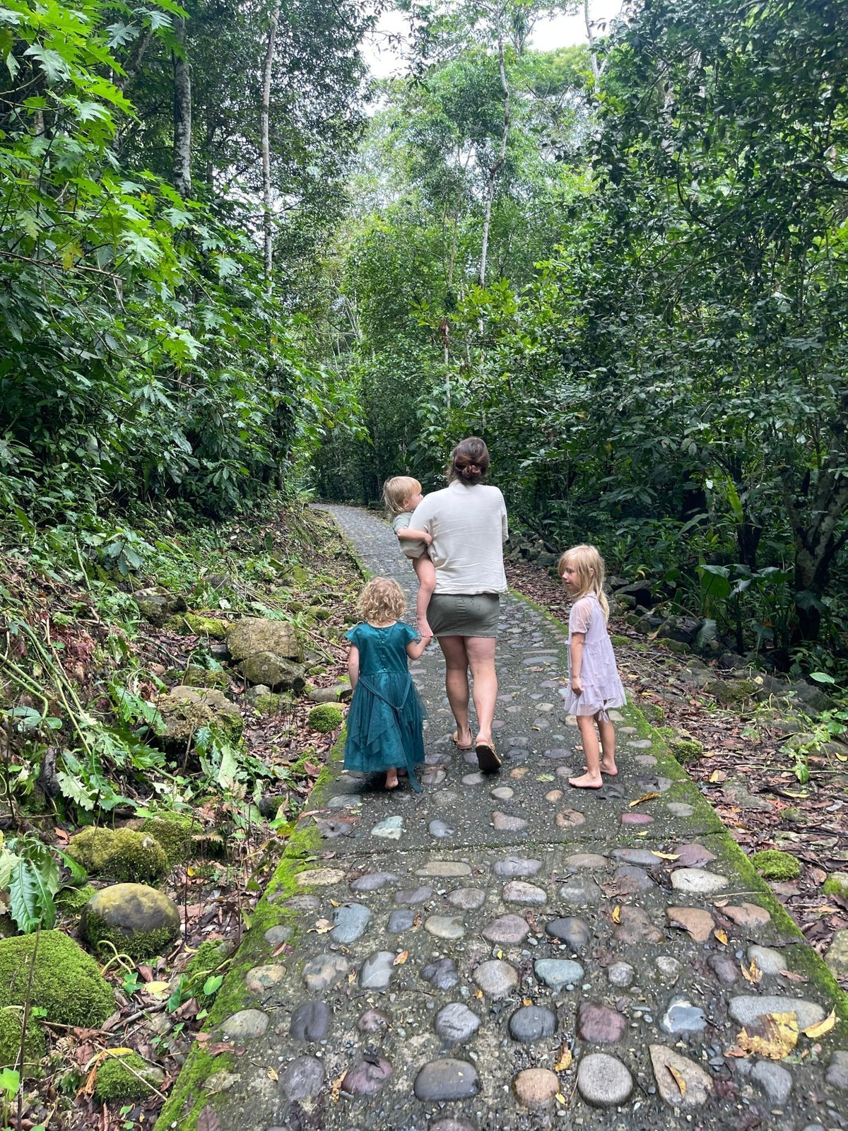 Anécdotal Tips, Recommended Reading, and Herbal 🌿 Allies for Breastfeeding