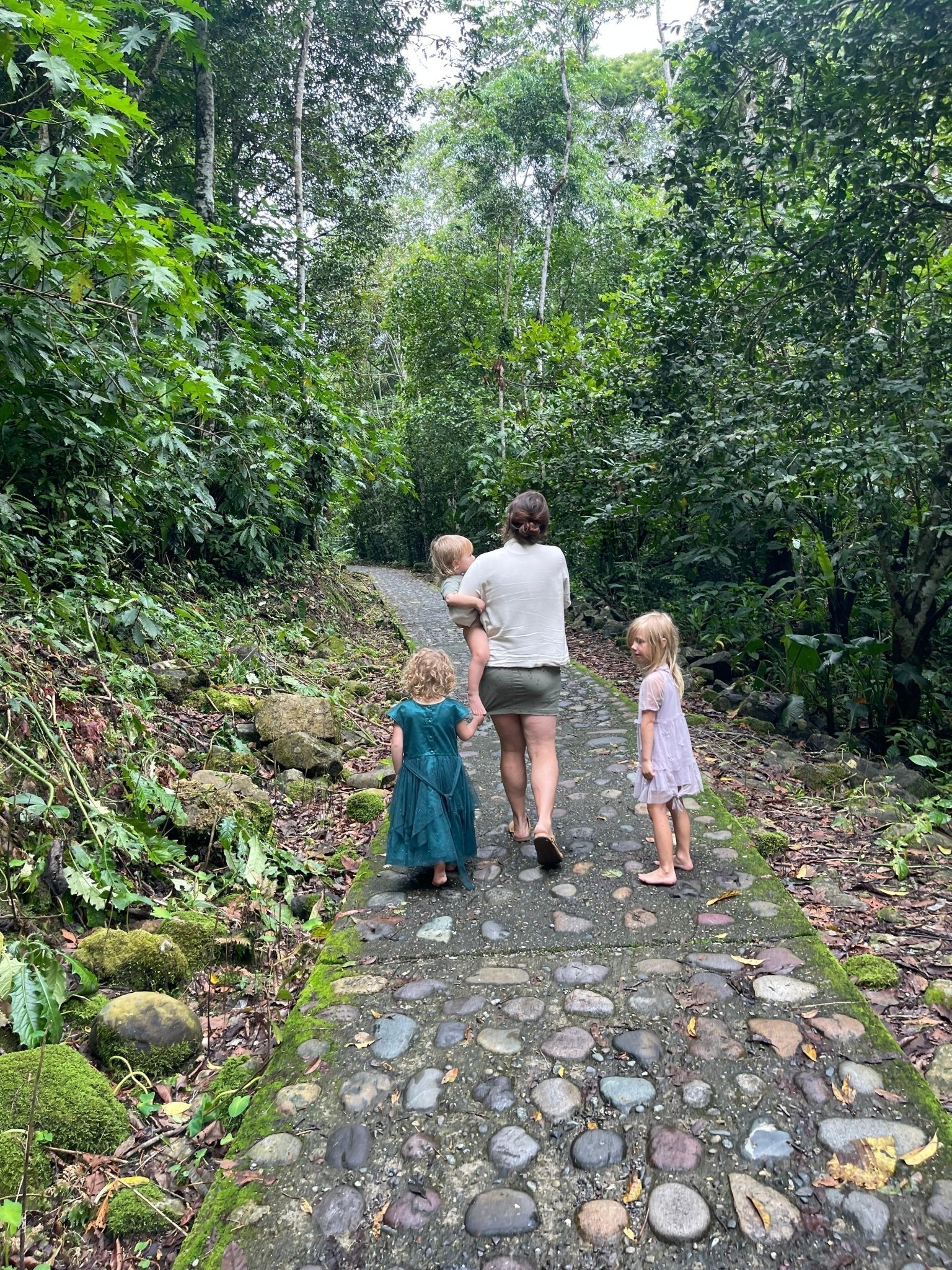 Anécdotal Tips, Recommended Reading, and Herbal 🌿 Allies for Breastfeeding