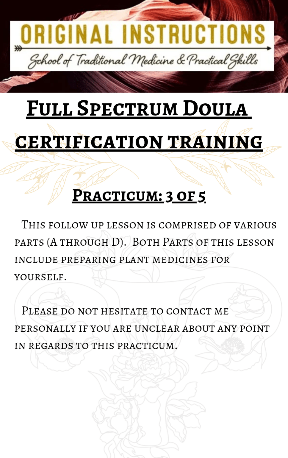 Full Spectrum 🌿 Doula, Practicum 3 of 5