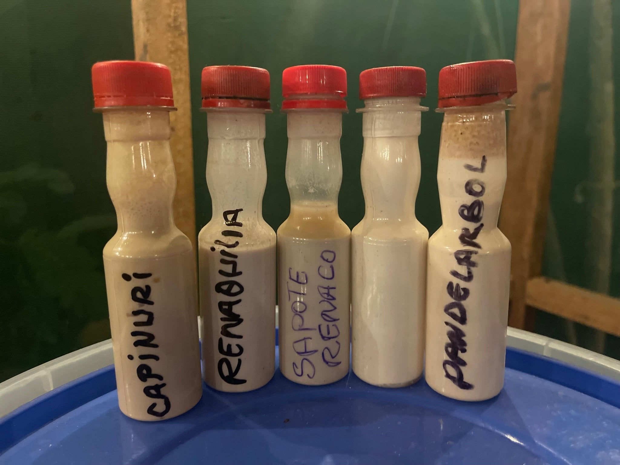 The Bone Doctor Recipe, and other everyday adventures