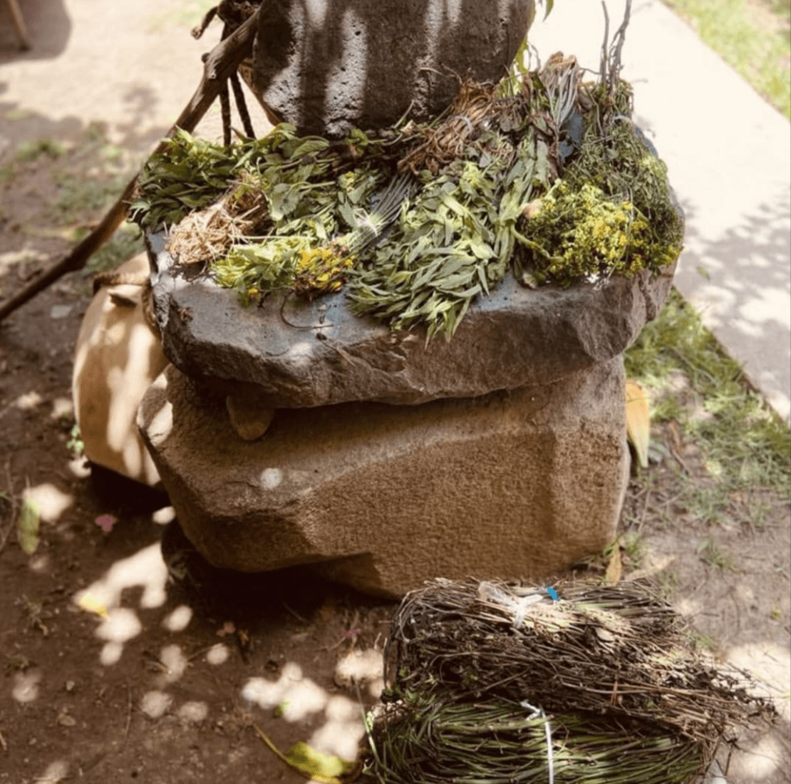 Online Herbalism Classes