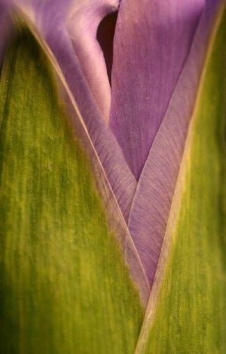 1:1 in-person Integrative Healing Session with Ekaterina