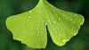 3_359fe6ec-df3f-418f-832f-c954c73ed7e9.webp__PID:ab55ed76-4d3e-4c62-8111-3852518dddcd