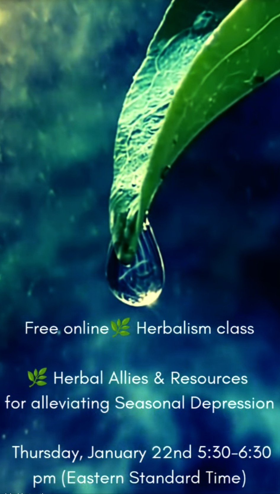 January 22nd, Herbal Allies and Practices for Alleviating Seasonal Depression