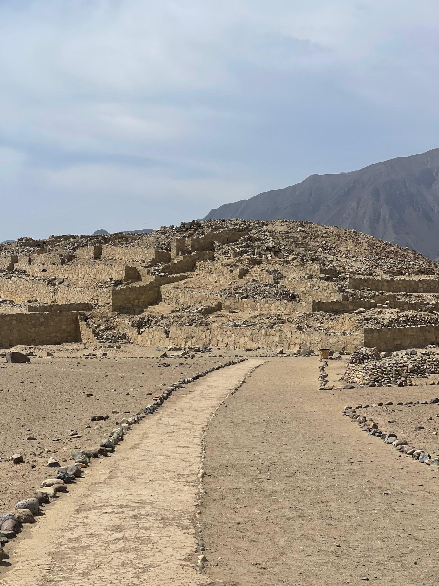 January 2nd through January 11th, 2027, Perúvian Coast to Amazonía, An Ethnobotanical 🌿 Pilgrimage 50 Hour CT - Ethnobotanical 🌿 Herbalism