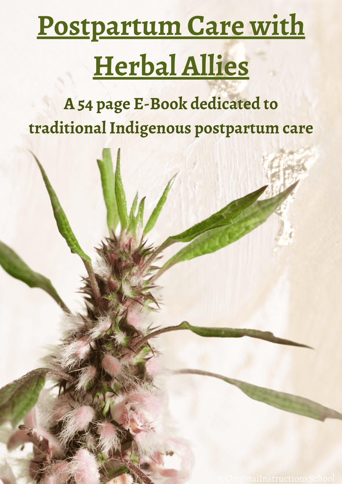 Postpartum with Plant Nations and Traditional Practices