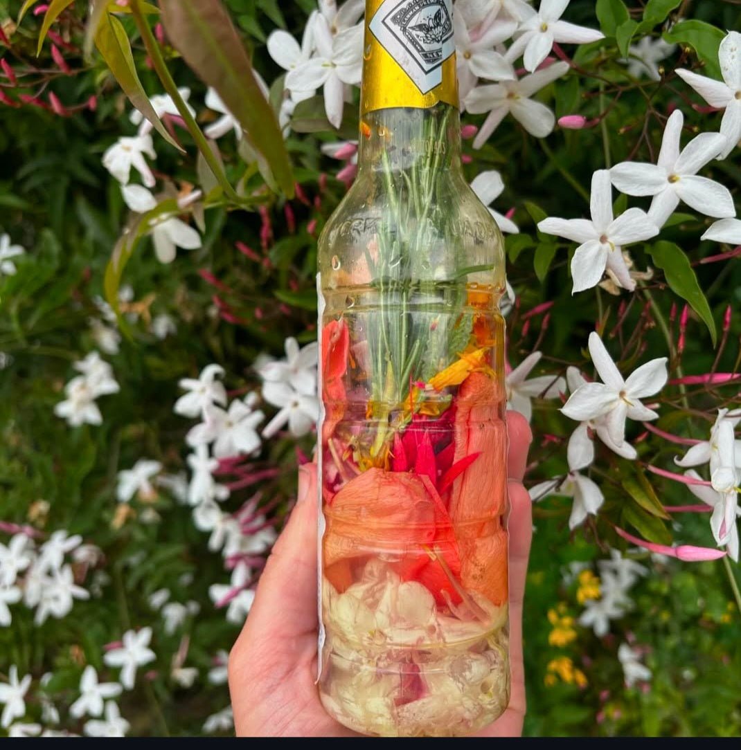 13 🌕 Herbal🌿 Apprenticeship - Conversing Plant Nations