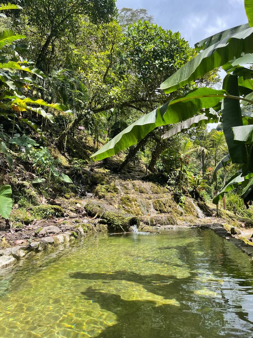 Traditional Uterine Massage Skills Immersion Retreat - TUM™ and Herbal Well Womb Care, with Amazonía (Perú)