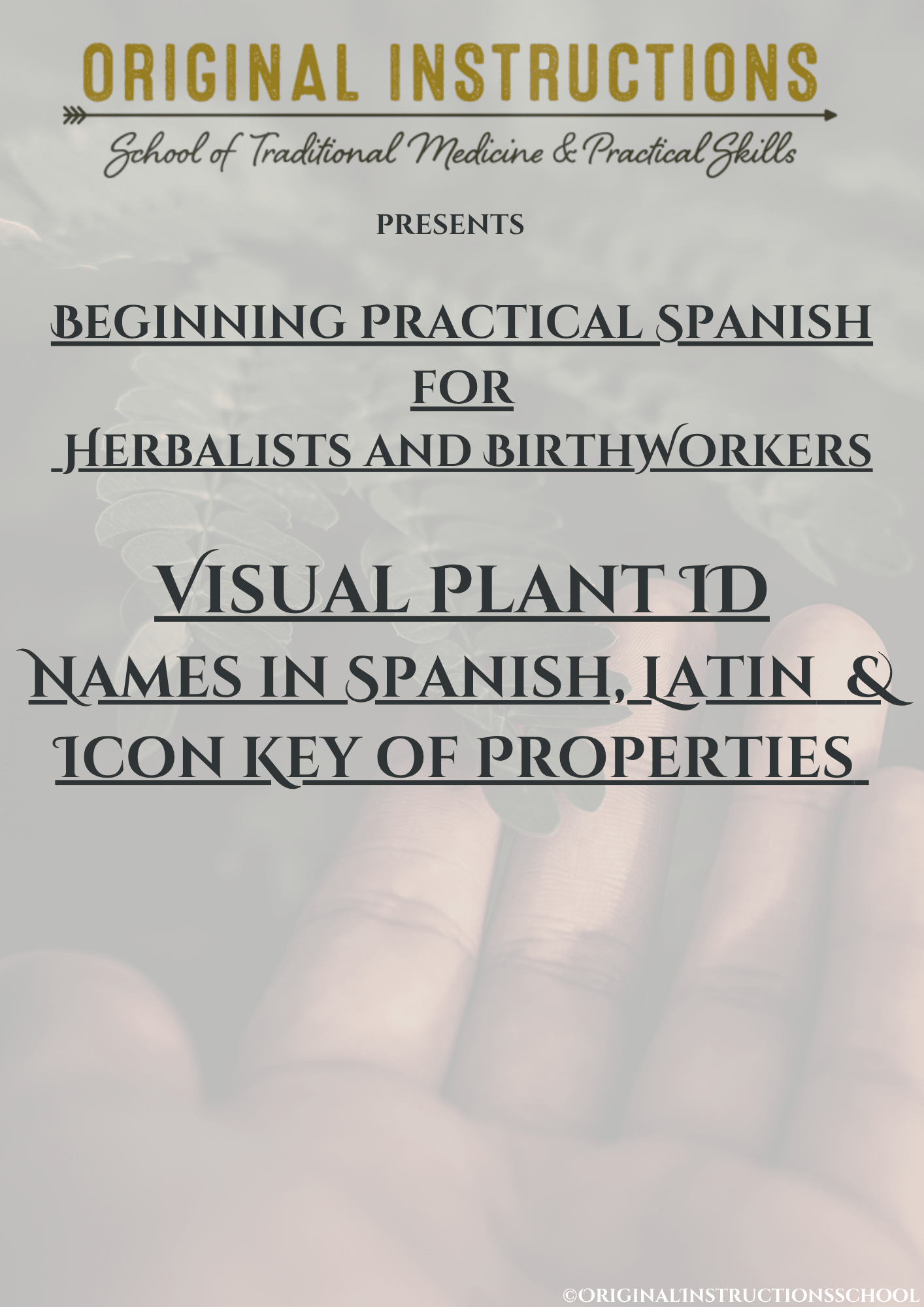 Visual ID, Plantas & Their Properties - Beginning Practical Spanish for Herbalists and Birthworks - Coursebook
